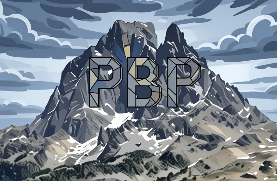 Illustration : Château de Pau : de la forteresse de Fébus au musée royal, notre histoire en pierre et en images